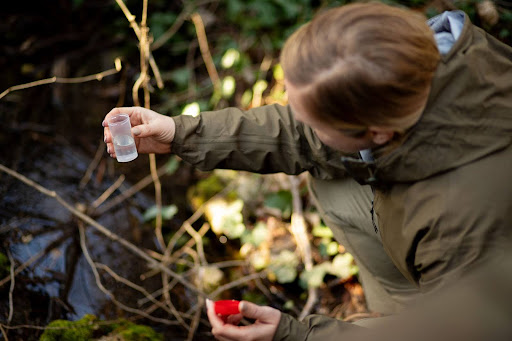 travail dans la nature