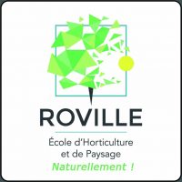 sans-titre-215